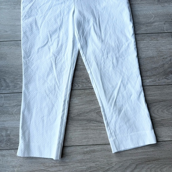 NWT Hilary Radley White Slim Fit Cropped Pants - Picture 5 of 11
